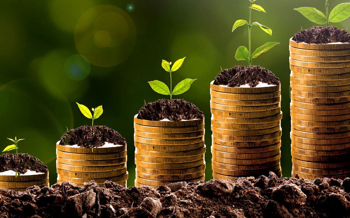 Uma série de cinco pilhas de moedas de ouro, cada uma progressivamente mais alta da esquerda para a direita, representando crescimento financeiro. Do topo de cada pilha emerge terra escura com uma pequena planta verde crescendo, simbolizando o investimento e o retorno financeiro crescente de um afiliado. O fundo é um borrão de verde e amarelo, sugerindo um ambiente natural.